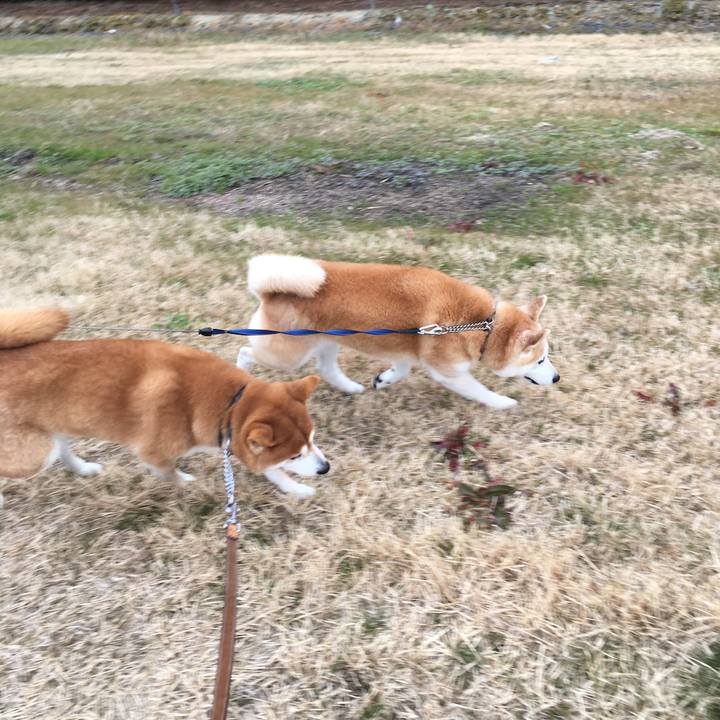 Bce93187 691d 40e8 a674 14440e3212e9