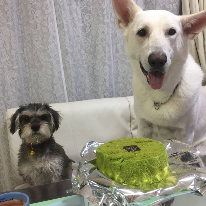 Bce97e37 9c16 4ce2 8373 4e4fc8ea3b8f