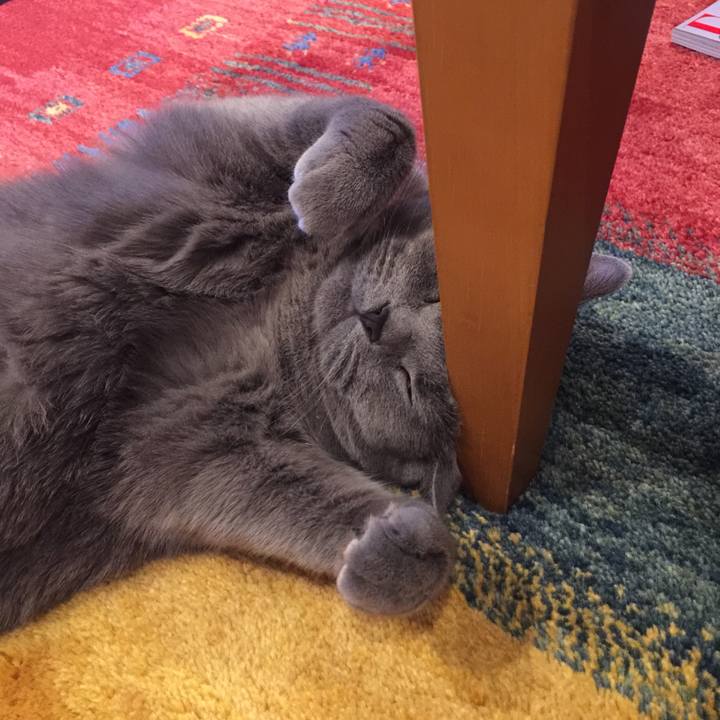 Bce99869 f581 439b b7c2 0386f27b8e8f