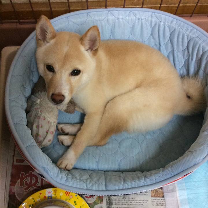 Bcea2f47 2fec 4107 aa52 a2dc852b80af