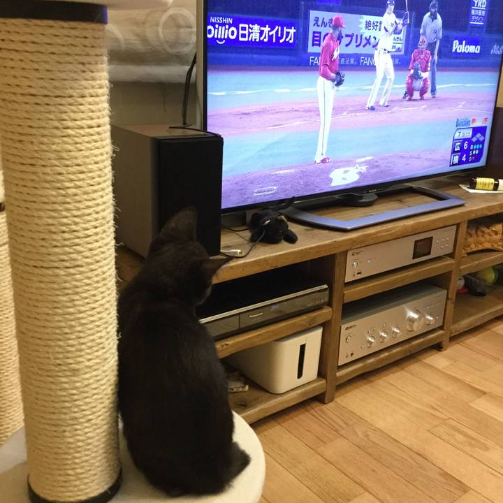 Bceaaa31 4463 45f4 9ca6 cdaae4a710ca