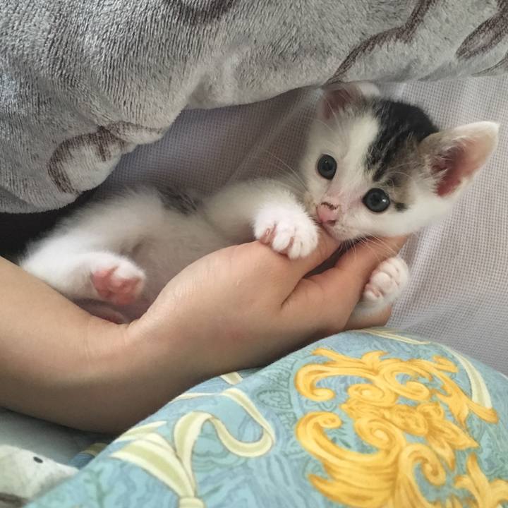 Bceb5fc0 be25 400f 9771 e95cbcc21680