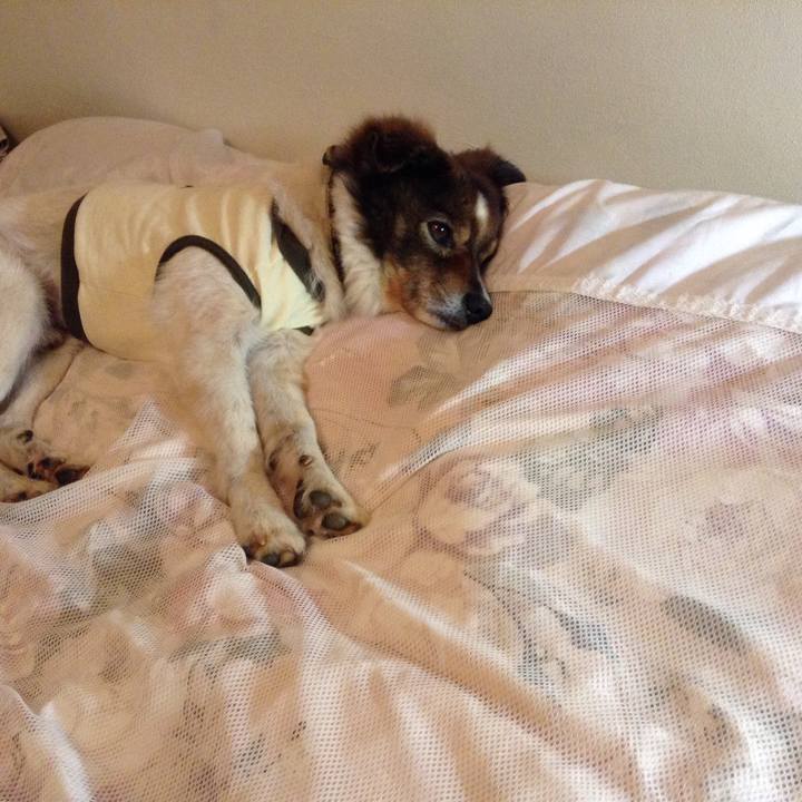 Bcebd680 2576 4507 bb9f 14208a07b6d1