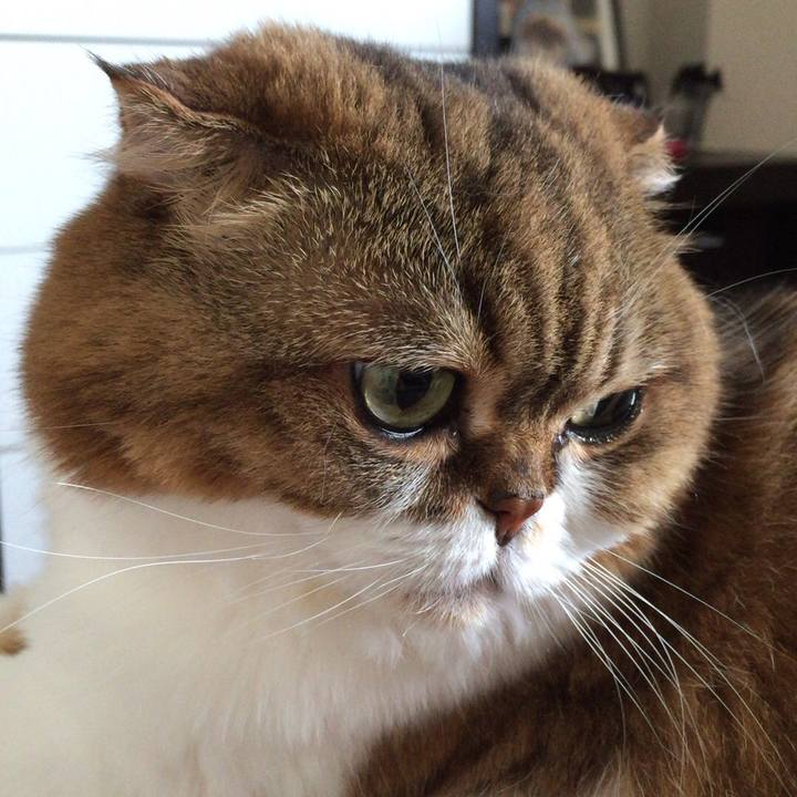 Bcec1ee6 7e65 4e9a 96ea 0ef2b121bcd2