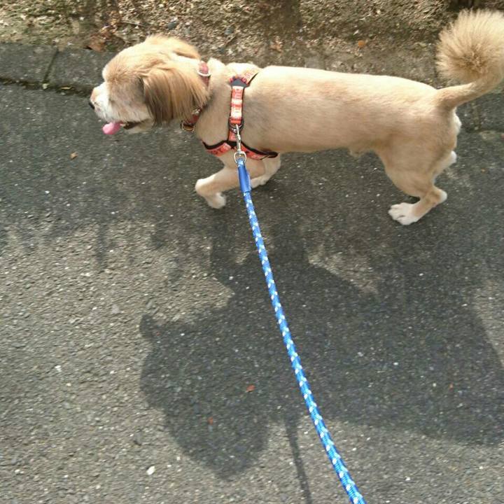 Bcec9137 2bd4 49a5 9f00 b08e21141e1f