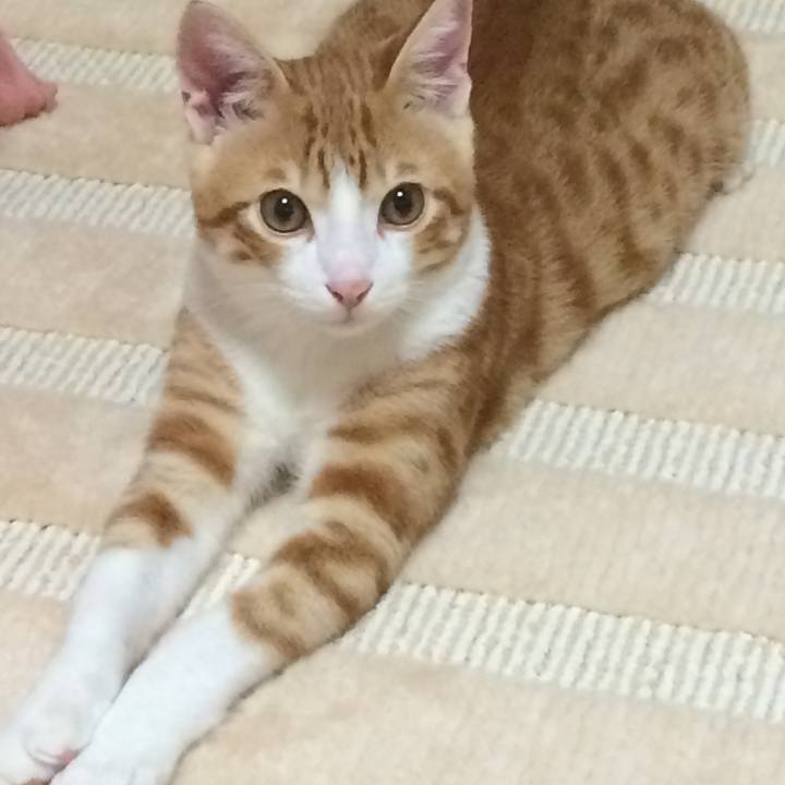 Bcecb4c7 f31d 41ba a50c 41b61356f011