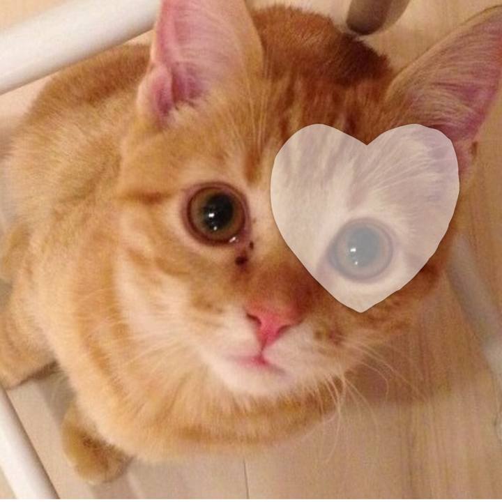 Bcecdbbf 7242 4d74 96ed 9e70fbce0215