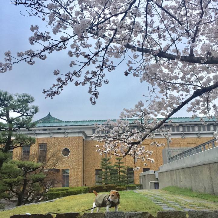 Bced06fa ab02 44e2 8ea6 ffa51fba7c15