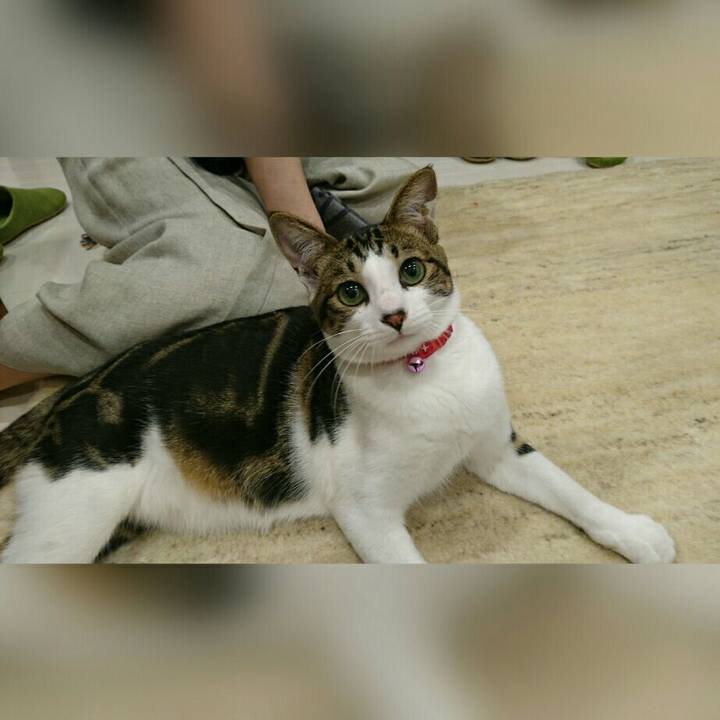 Bced3b23 c62a 4668 9e5a 5517eb70a464