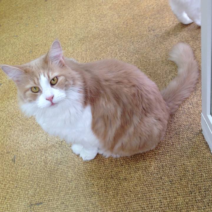 Bced434e bc6f 45a2 b64a 1d0b630387f6