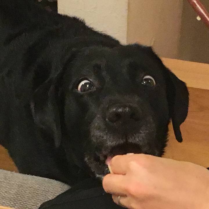 Bced791c 4e3e 4610 a528 640fcb8eec2d