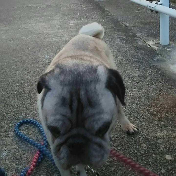 Bcee37d8 3e73 4bbe 88c4 db27a5cb5a53