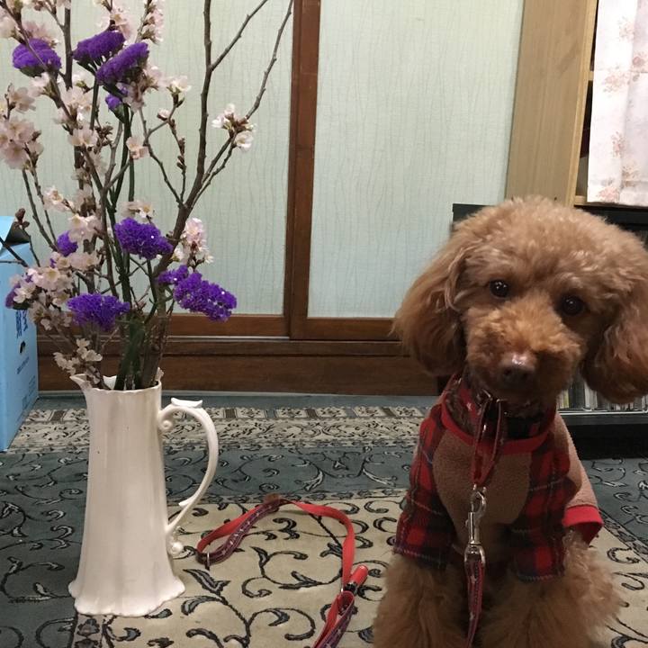 Bcee3c38 aa8c 41ea 879c d93912d7f52b