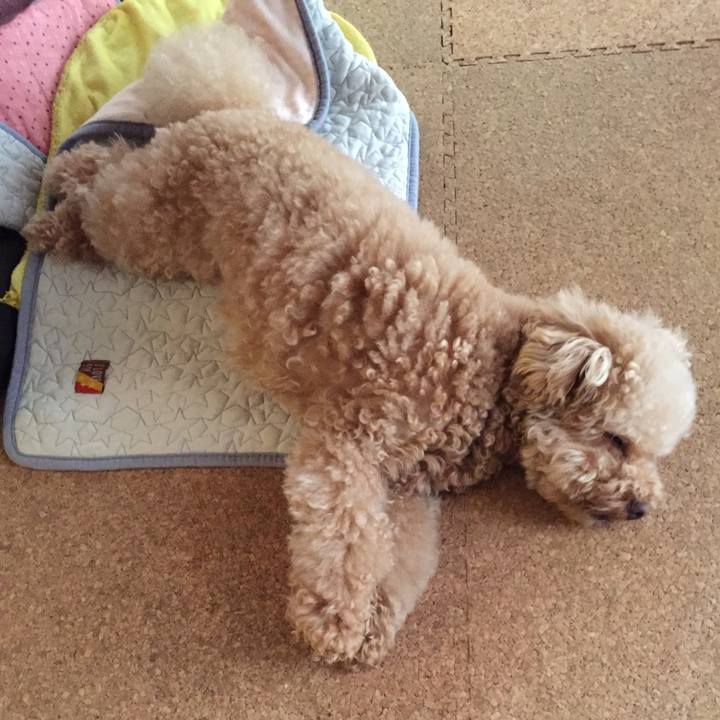 Bcef41e7 e1f4 4745 9b35 baa60884301e