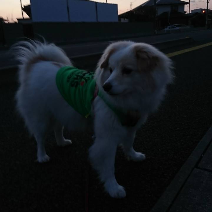 Bcf0739b 5d7f 44ac ad63 b8880788ff8b