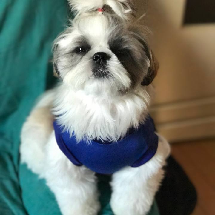 Bcf08101 03d1 4fc9 8cfc b034e3ff50bf