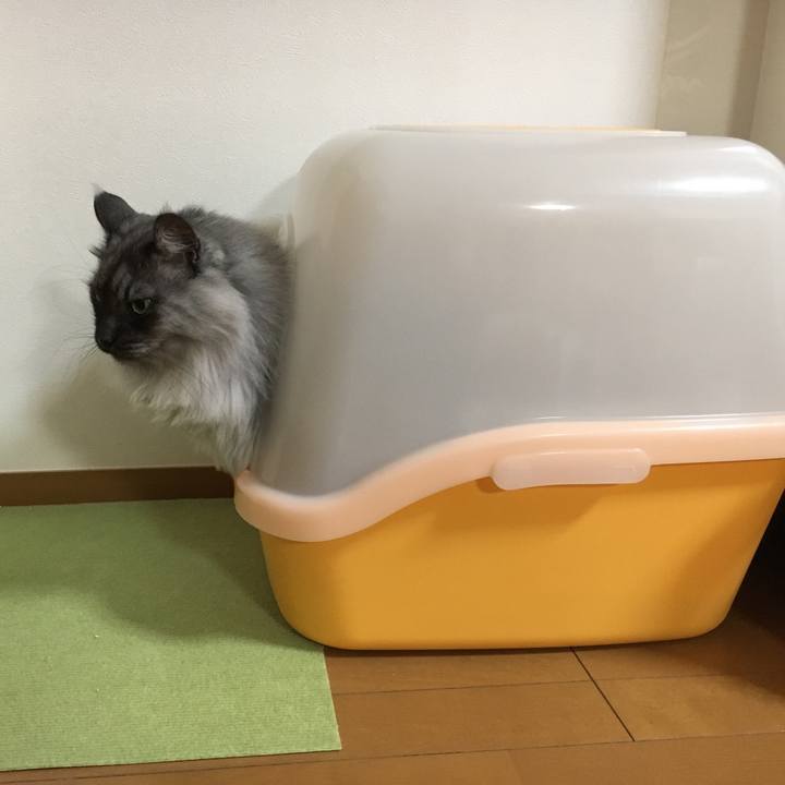 Bcf0b785 f941 423f 883c 30af84254746