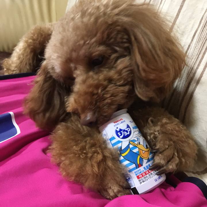 Bcf17660 be33 45df 9fbd 07efc994a803