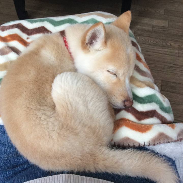 Bcf2552a 4ef0 4ab9 acbe 24cb91217284