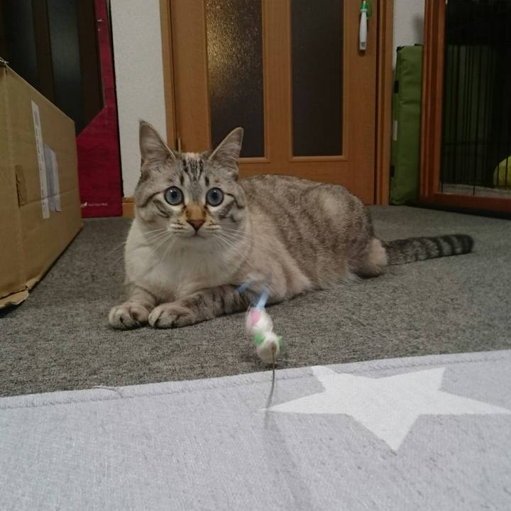 Bcf36175 e74a 4933 ae6e 6b9ce9e0bf79