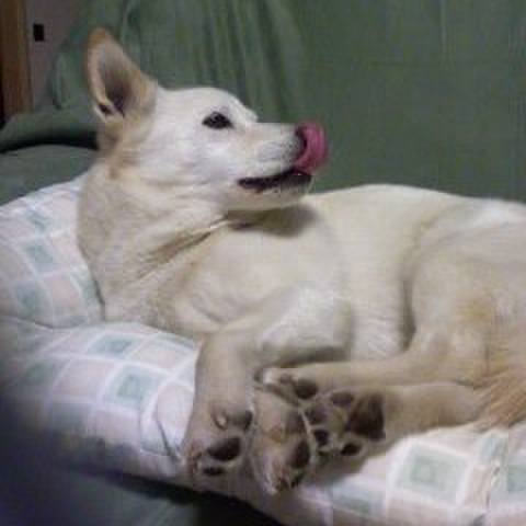 Bcf6948e ab2b 47e0 98c7 e8b75ce91cdd