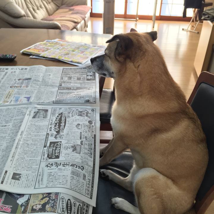 Bcf6e257 9ae7 4d0f bef3 3ffce2bc9b33