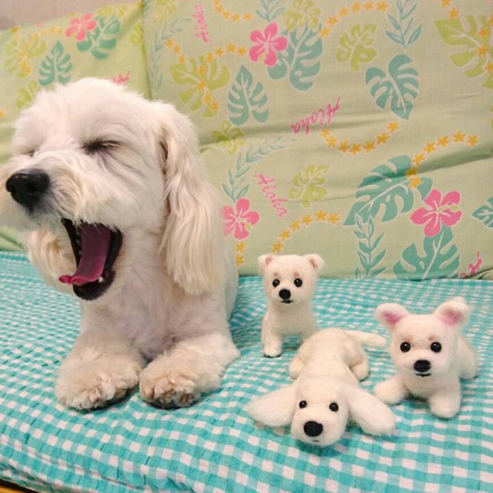 Bcf79f27 adbc 43e6 bccc 9a773d485ee2