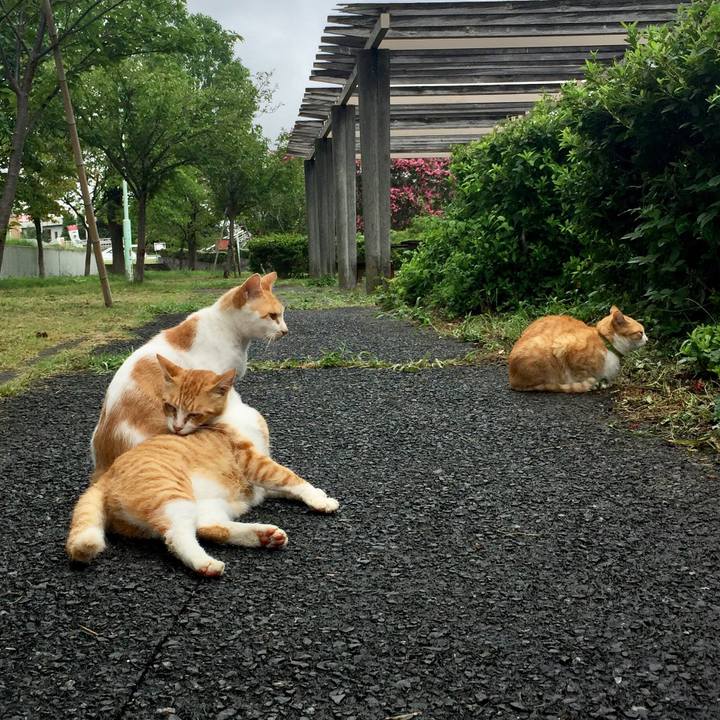 Bcf7bdf1 d123 4e42 b24c 284f8db62649