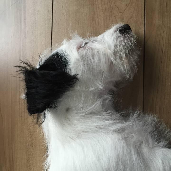 Bcf83daa f4af 436d a846 e3e87d61b68b