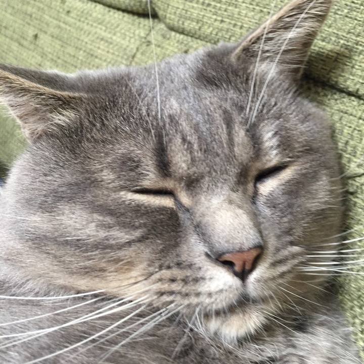 Bcf85464 80c9 49a3 9ebc b07ecbaabc91