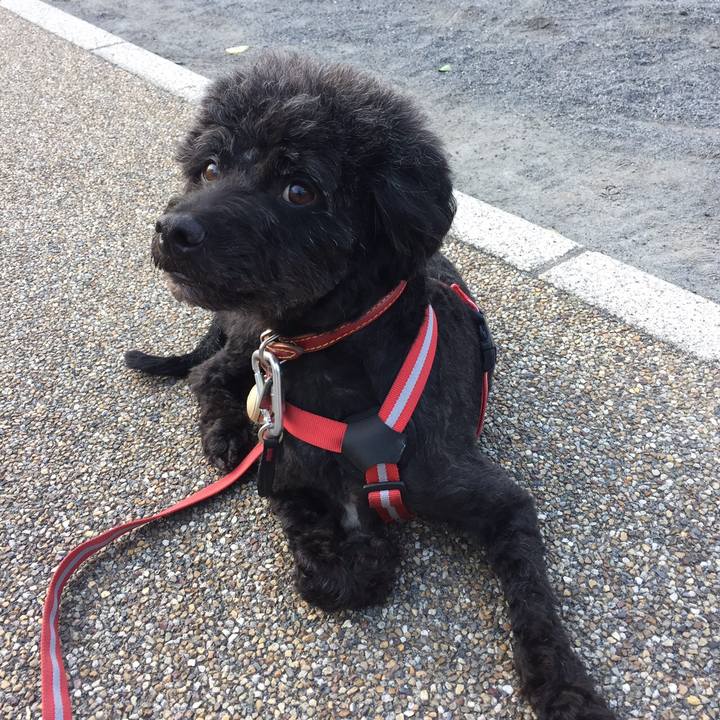 Bcf8b015 2011 4213 9e9a 1fc0994bc5c8