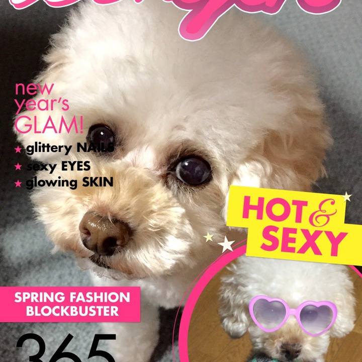 Bcf8bfae cfc9 432c 929a 9e606127fa77