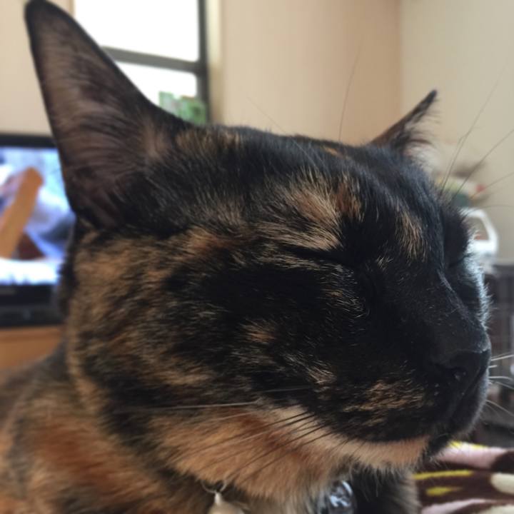 Bcf90f1f a69d 4802 9d31 4d19d7dac827