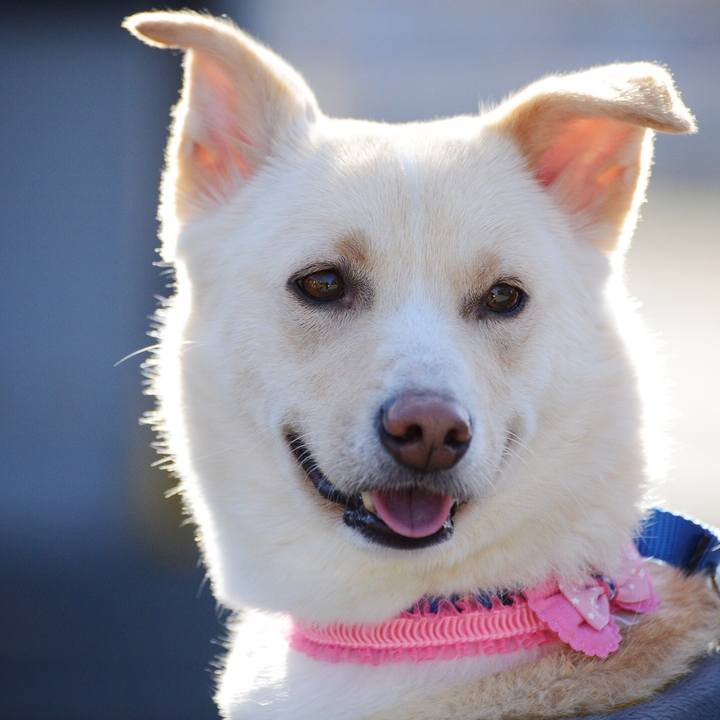 Bcfa1d76 c84e 4dc5 953c f2fe06005aae