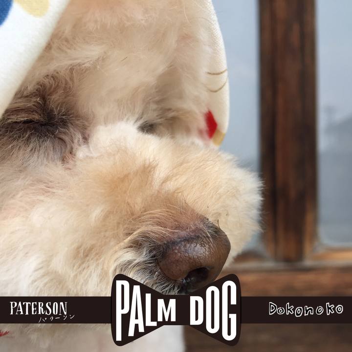 Bcfac31b ada2 49fb 8ea2 25948c6a5795