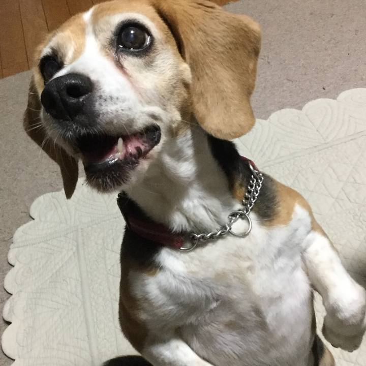 Bcfbc911 a460 4d76 956f 94cb145532d1