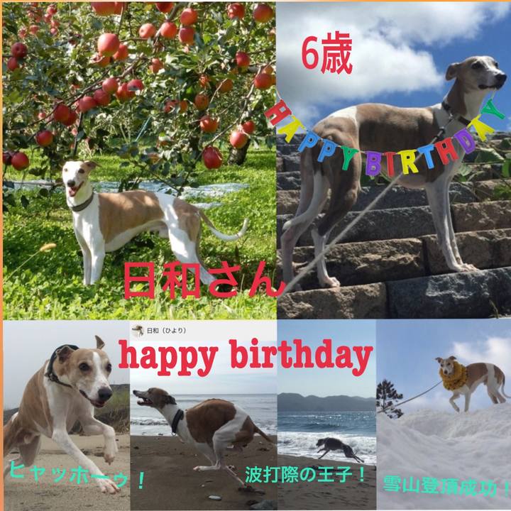 Bcfd28ca 3c13 4a42 bad1 5d407f6c3db1