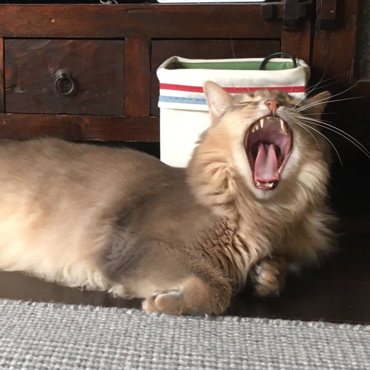 Bcfda9e8 2816 4c78 b7e9 b9a67f1900bb