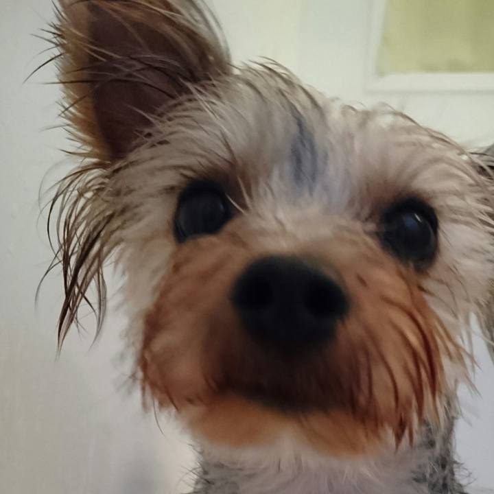 Bcfea8be 7cde 465b b9c7 844b22bcd604