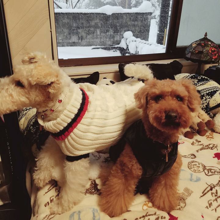 Bcff0b8c cbe8 4ecc b1a0 de7bc136063f