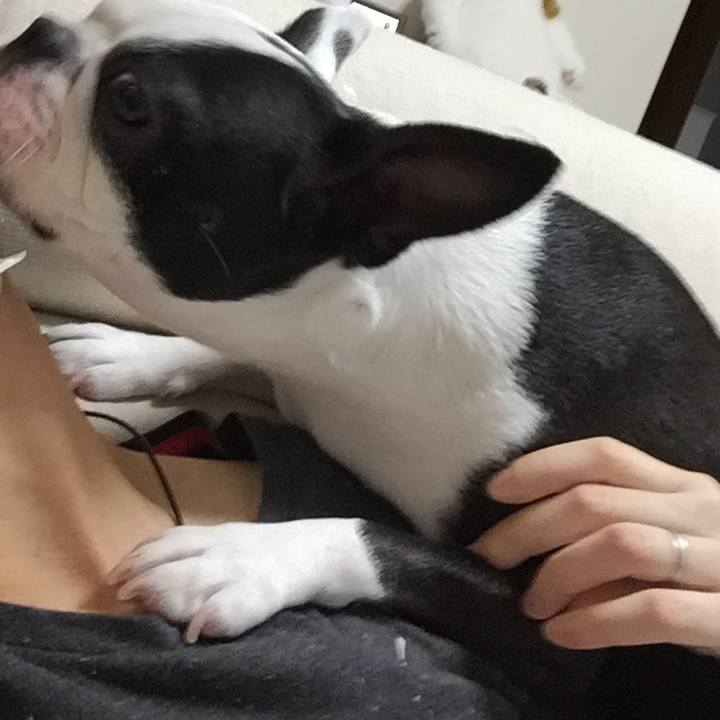 Bcff2d98 0e24 4844 be2e 279c41fbb31c