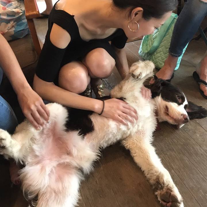 Bd01fec7 0fa3 46c0 92d2 94fe02d12794