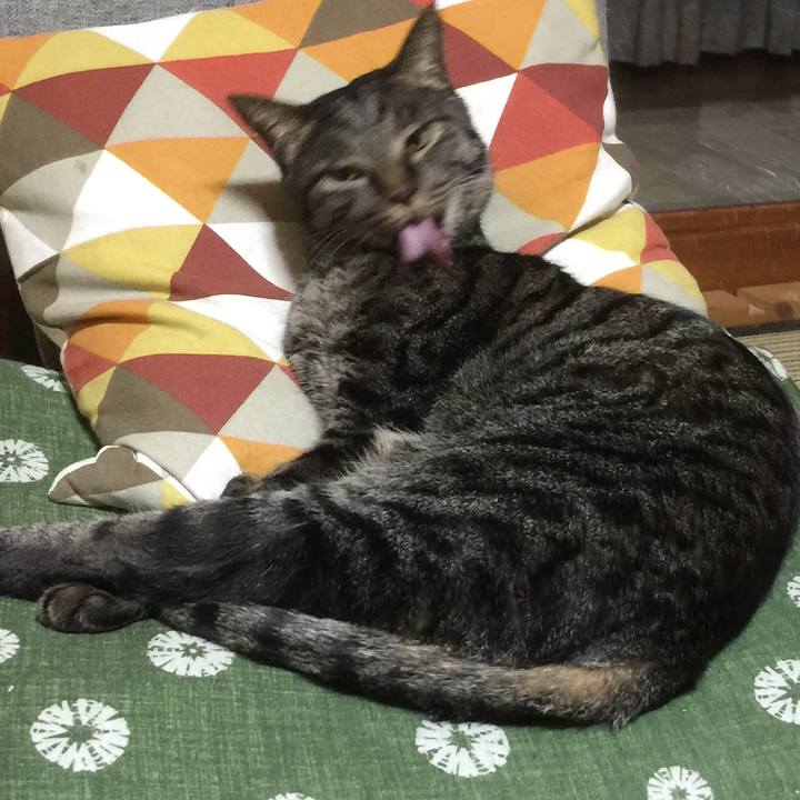 Bd028505 4b75 4d23 ac61 7bcfbbc3ded7