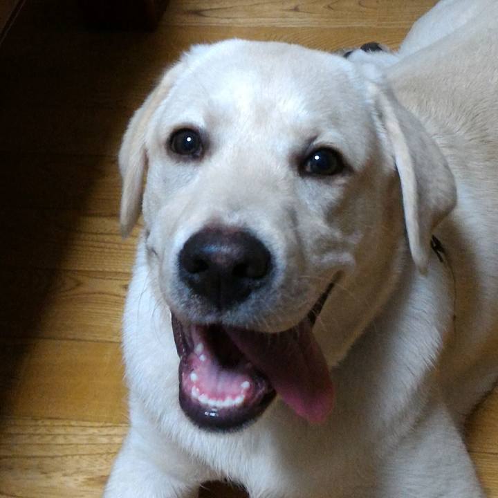 Bd031248 fbe2 4e9e 9a68 6c533a99439e