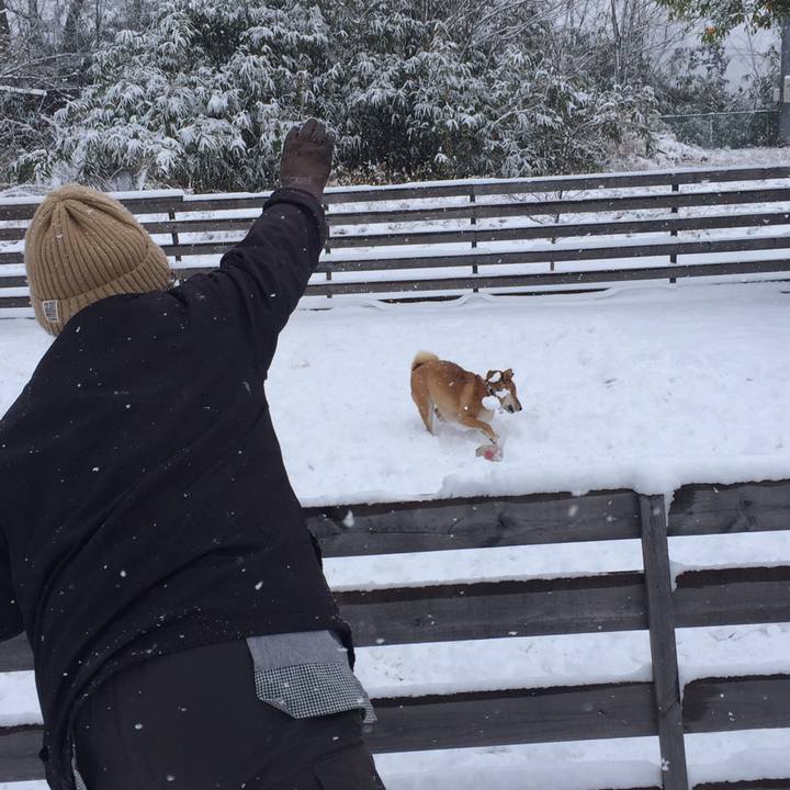 Bd03b169 f9c4 4c5c a446 17b22090bb38