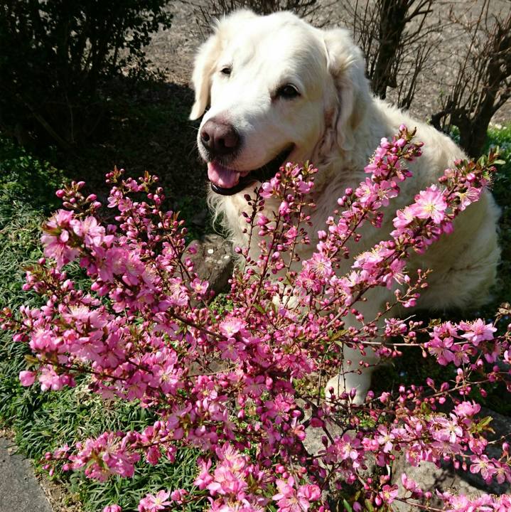 Bd03f8e0 dcec 4aa7 9553 cb0ea94cd0cd