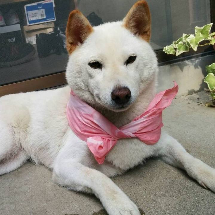 Bd0478c9 85a6 4a63 9cc6 5babc2fb742b