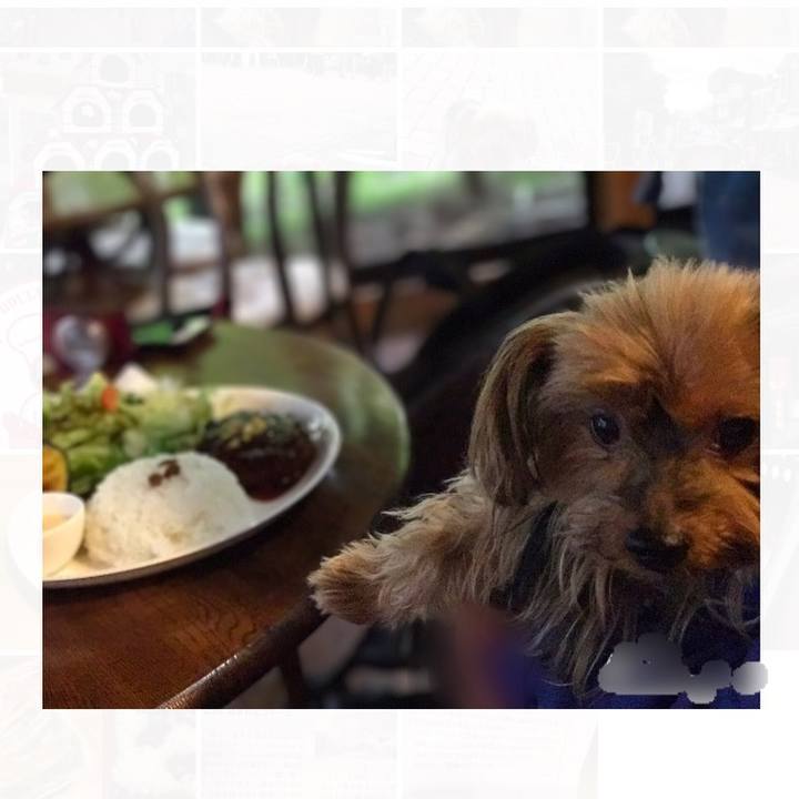 Bd051d7c c6de 4543 baa7 33ee14639eb1