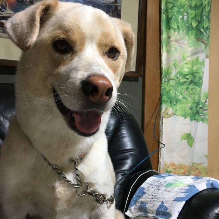 Bd05290f ac99 4b24 aaab 90bfc2e1d838