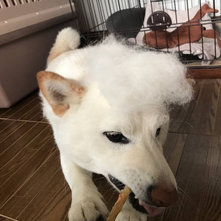 Bd053d22 487f 4bb0 b565 7aa158300701